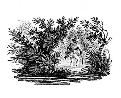 Durchqueren des Flusses, aus Landvögel, ca. 1797 von Thomas Bewick
